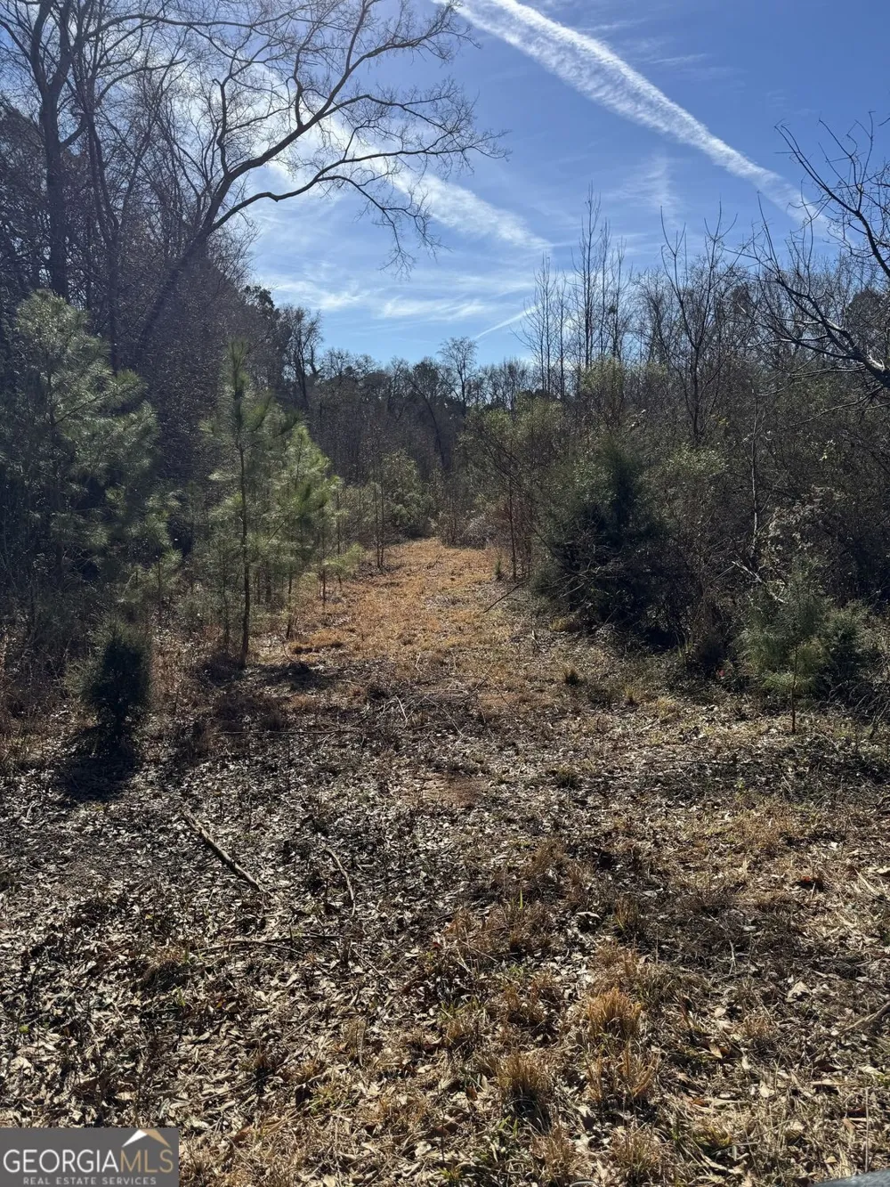 738 Old Mineral Springs RD Elberton, GA 30635