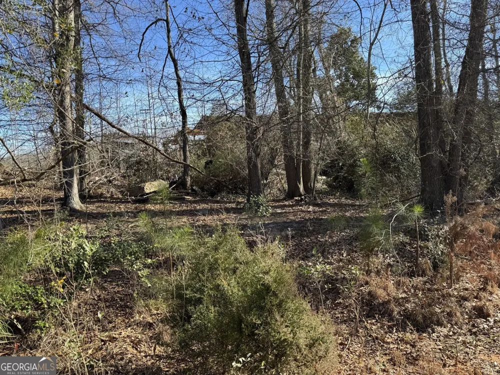 738 Old Mineral Springs RD Elberton, GA 30635