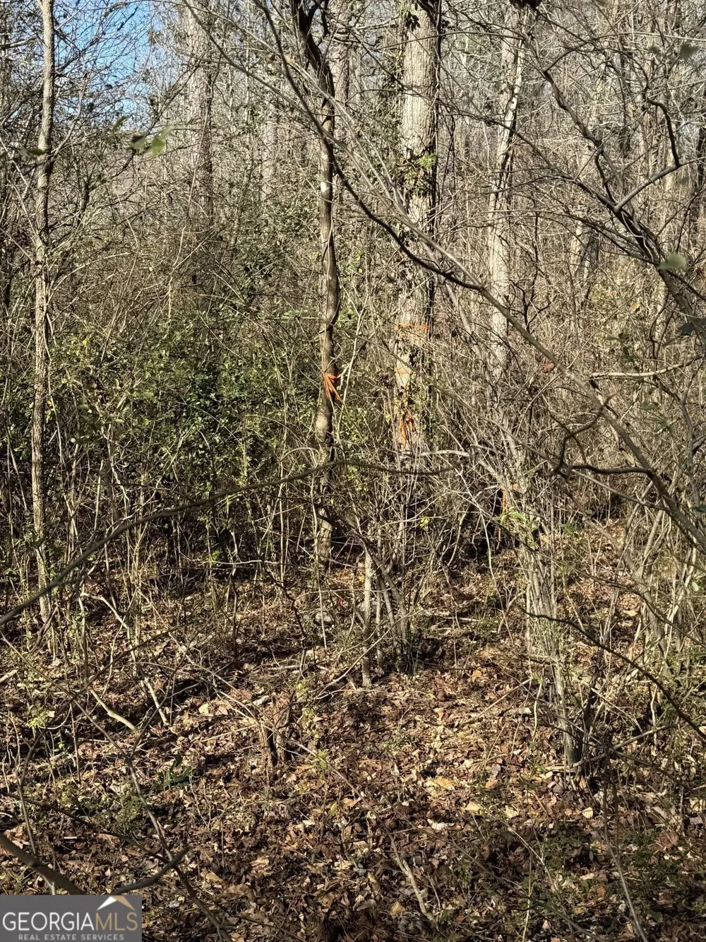738 Old Mineral Springs RD Elberton, GA 30635