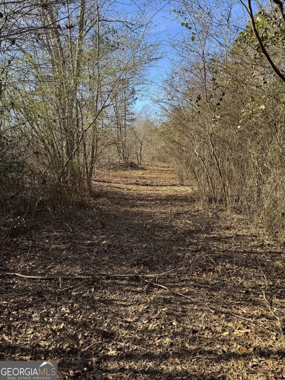 738 Old Mineral Springs RD Elberton, GA 30635