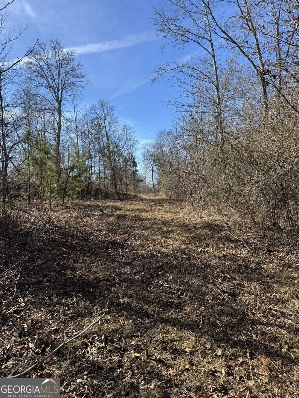 738 Old Mineral Springs RD Elberton, GA 30635