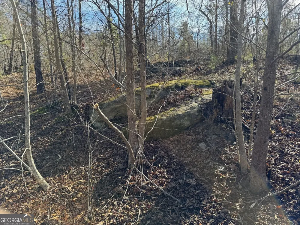 738 Old Mineral Springs RD Elberton, GA 30635