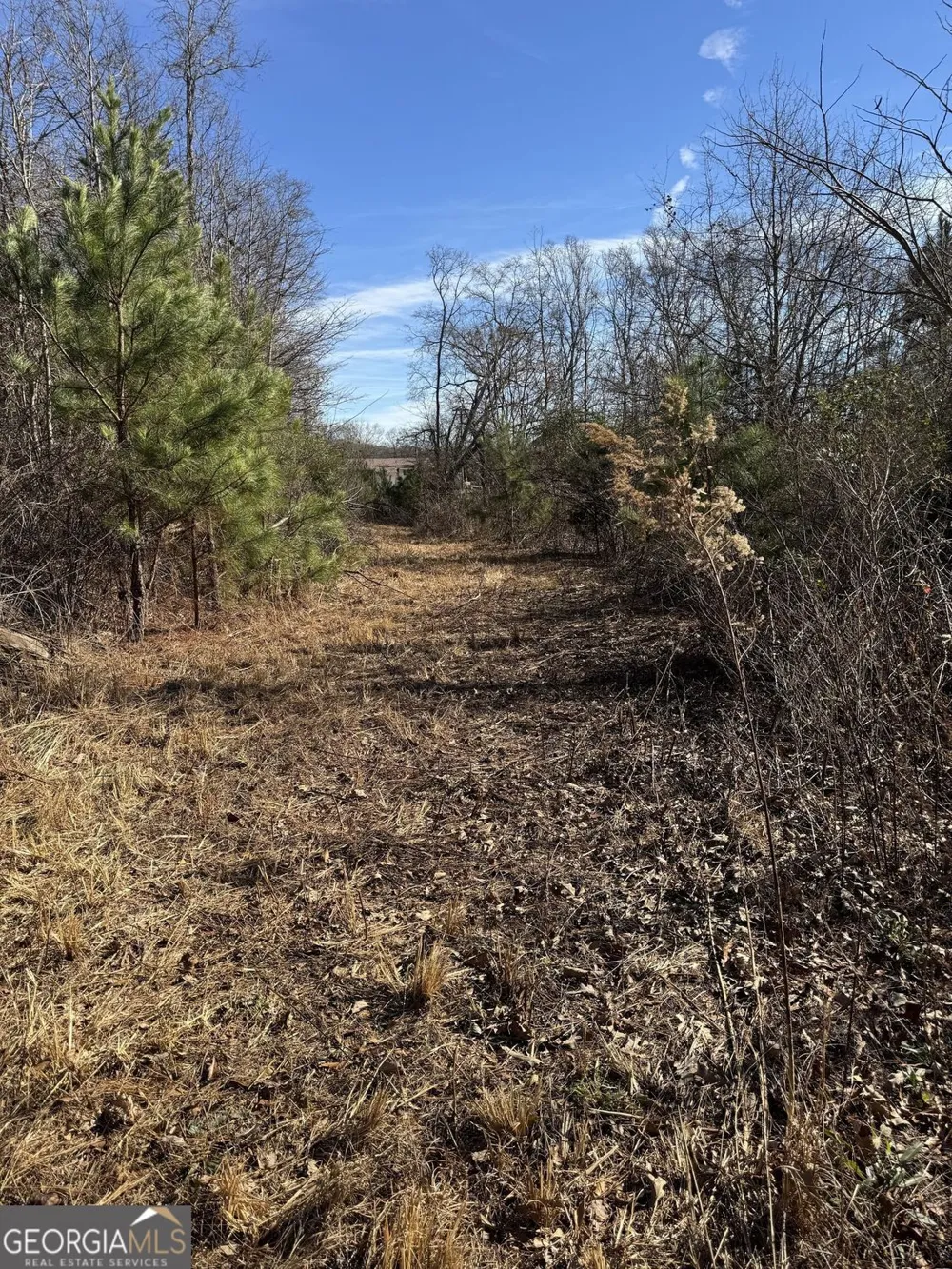 738 Old Mineral Springs RD Elberton, GA 30635