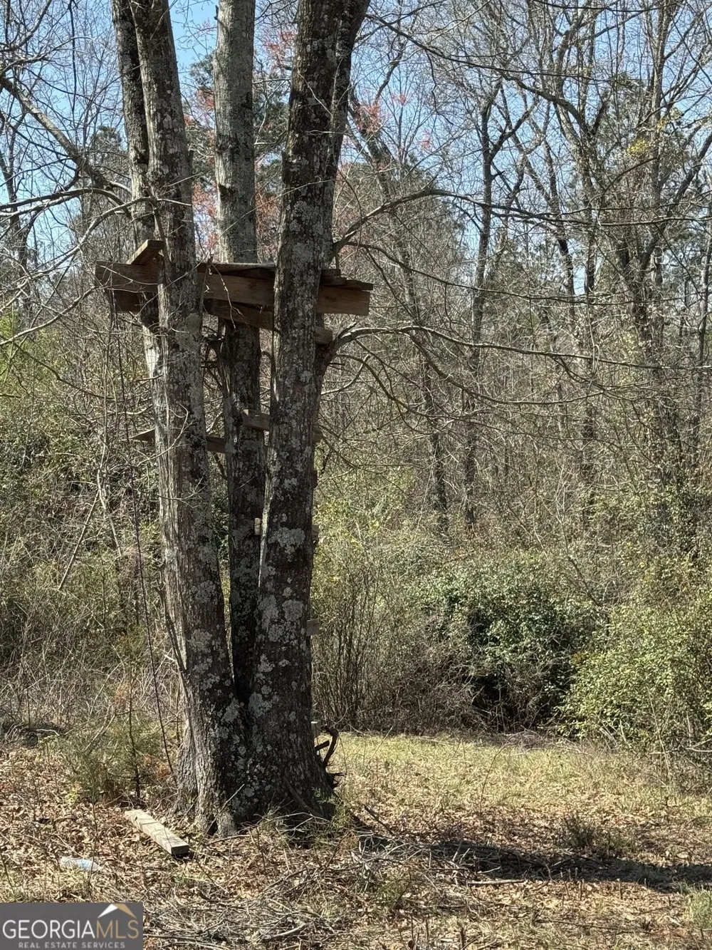 738 Old Mineral Springs RD Elberton, GA 30635