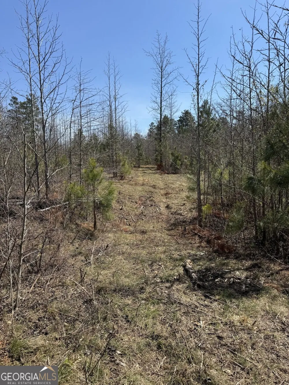 738 Old Mineral Springs RD Elberton, GA 30635