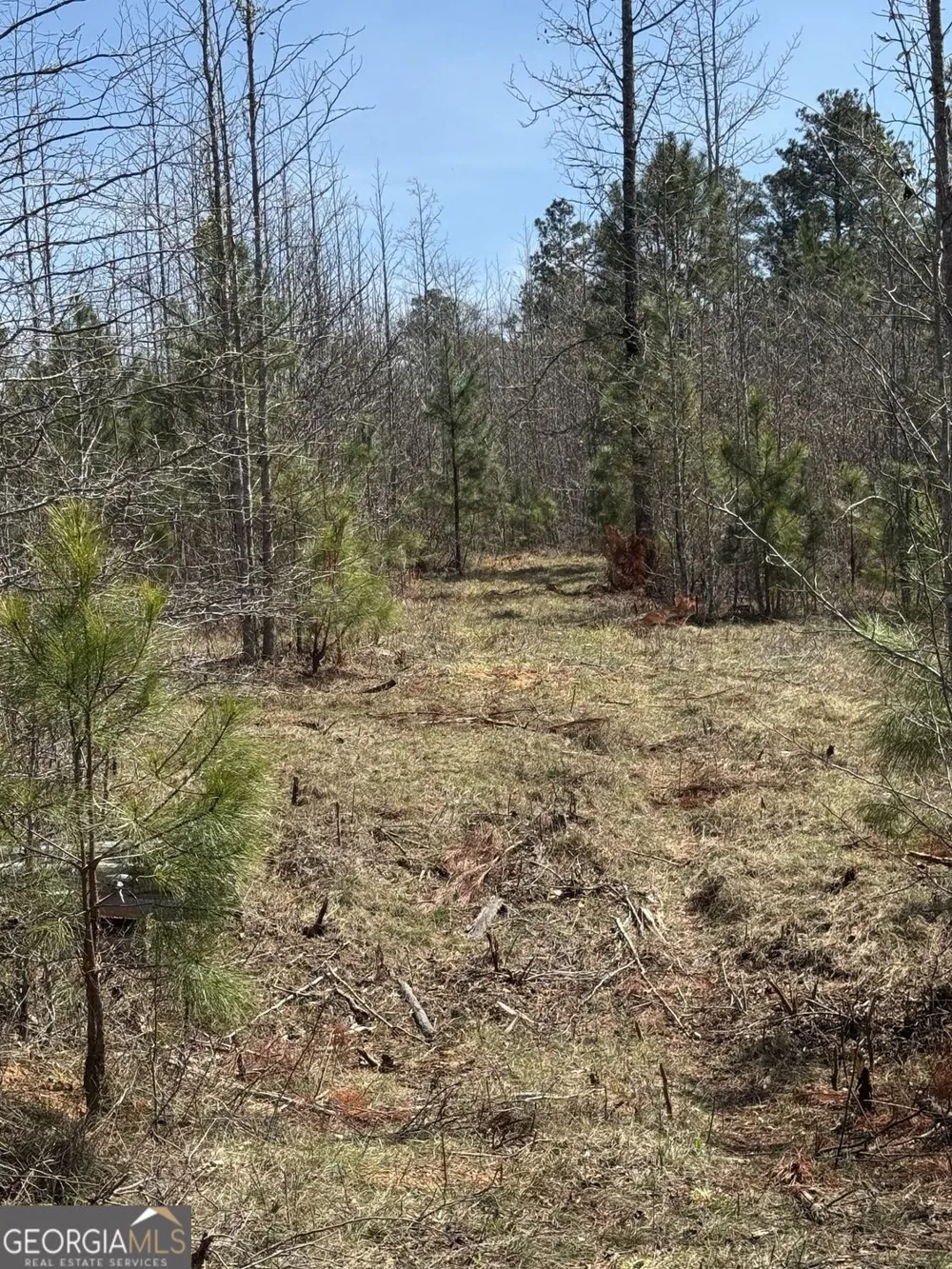 738 Old Mineral Springs RD Elberton, GA 30635