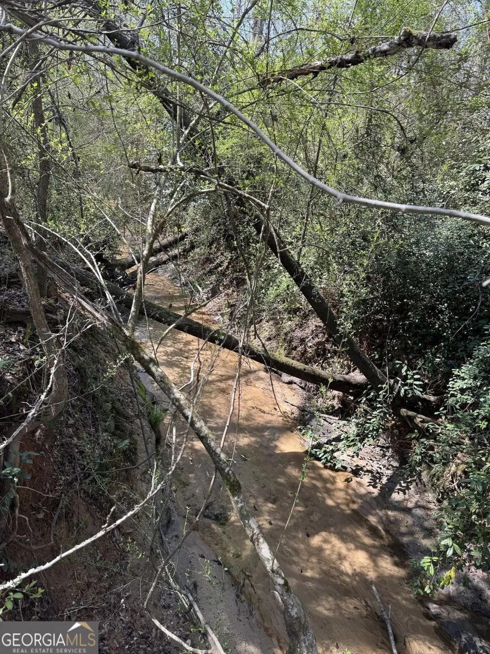 738 Old Mineral Springs RD Elberton, GA 30635