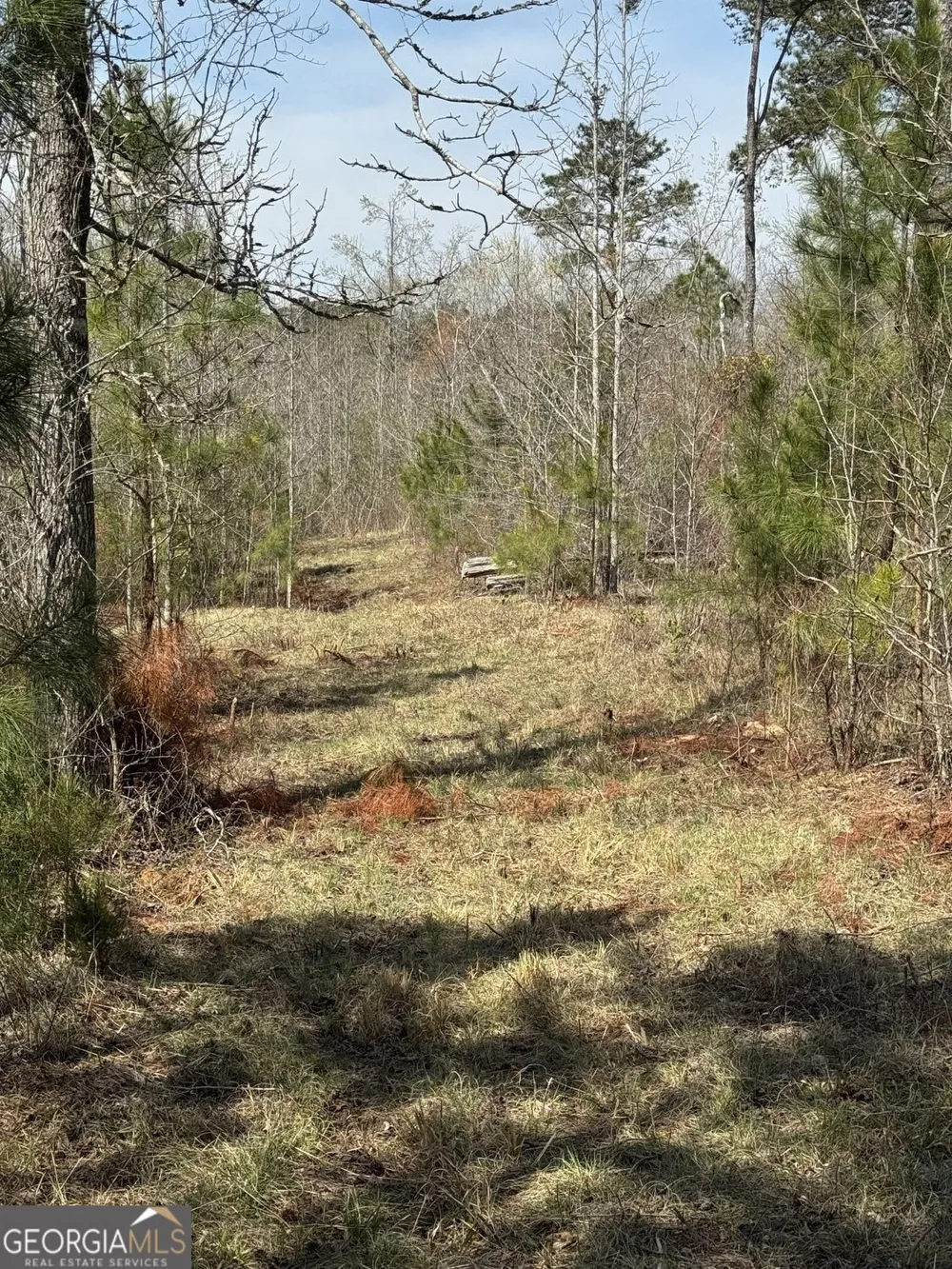 738 Old Mineral Springs RD Elberton, GA 30635