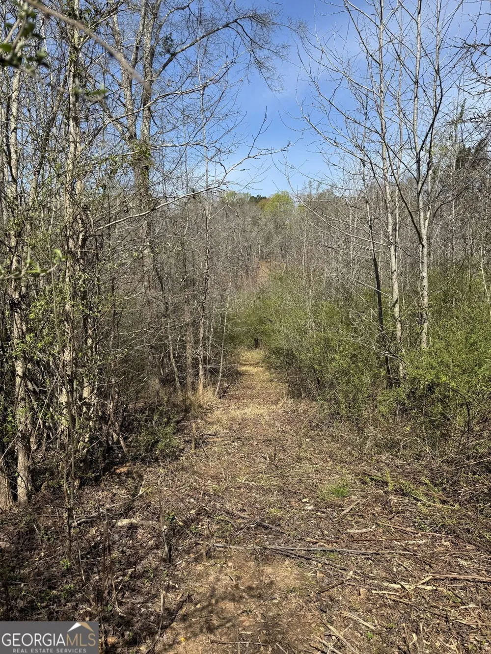 738 Old Mineral Springs RD Elberton, GA 30635