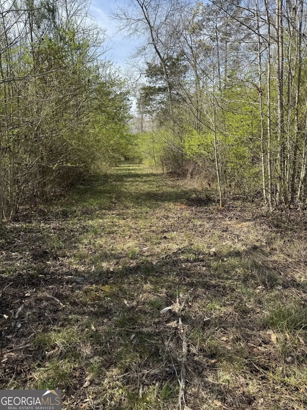738 Old Mineral Springs RD Elberton, GA 30635