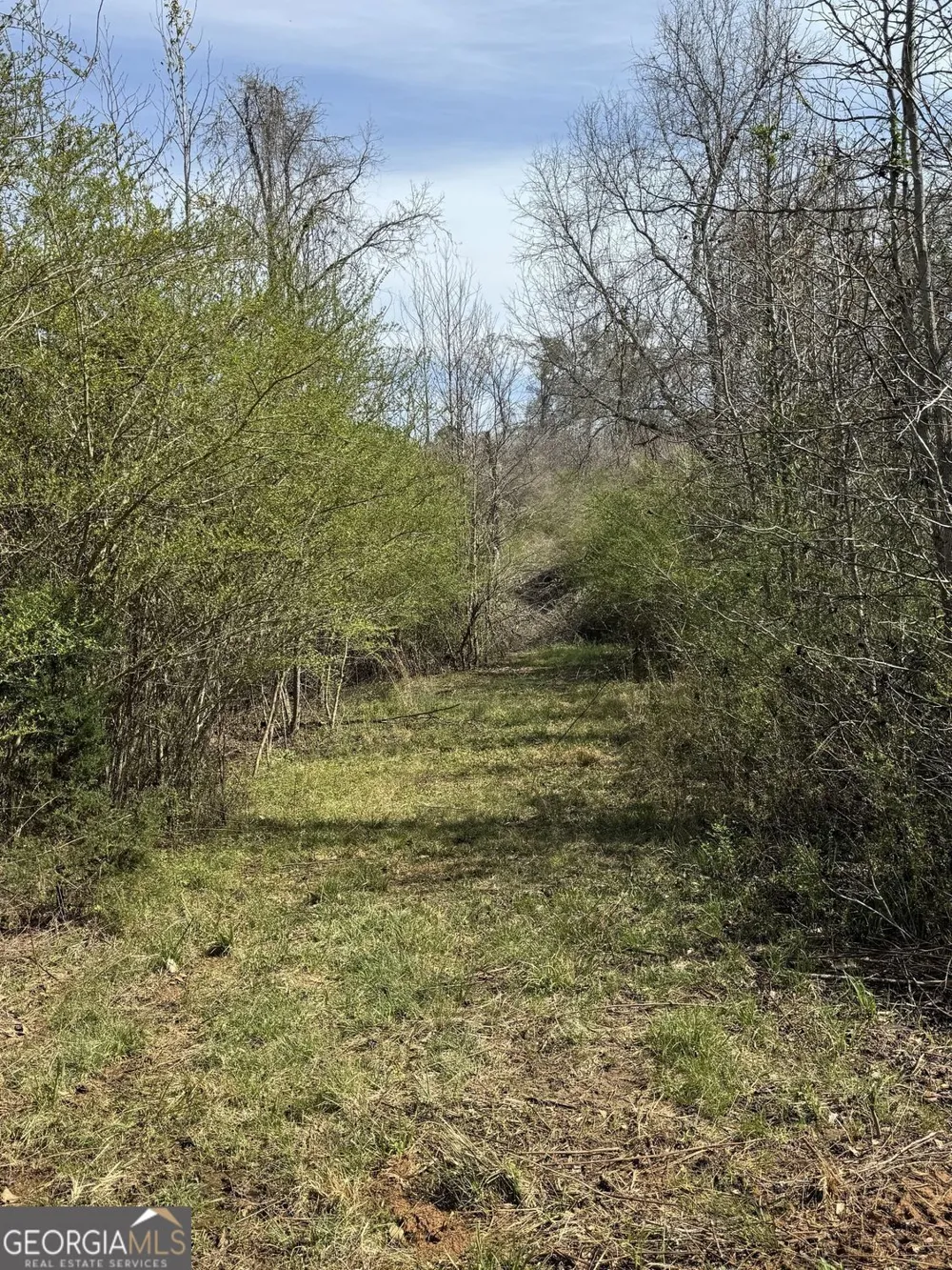 738 Old Mineral Springs RD Elberton, GA 30635