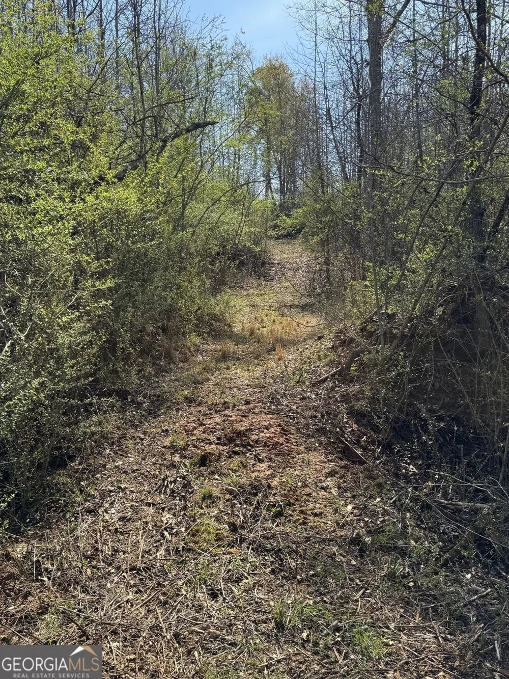 738 Old Mineral Springs RD Elberton, GA 30635
