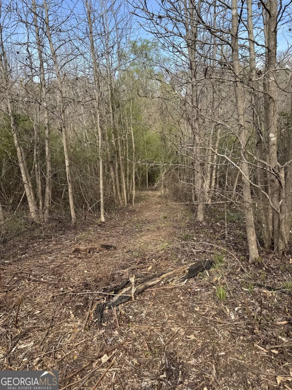 738 Old Mineral Springs RD Elberton, GA 30635