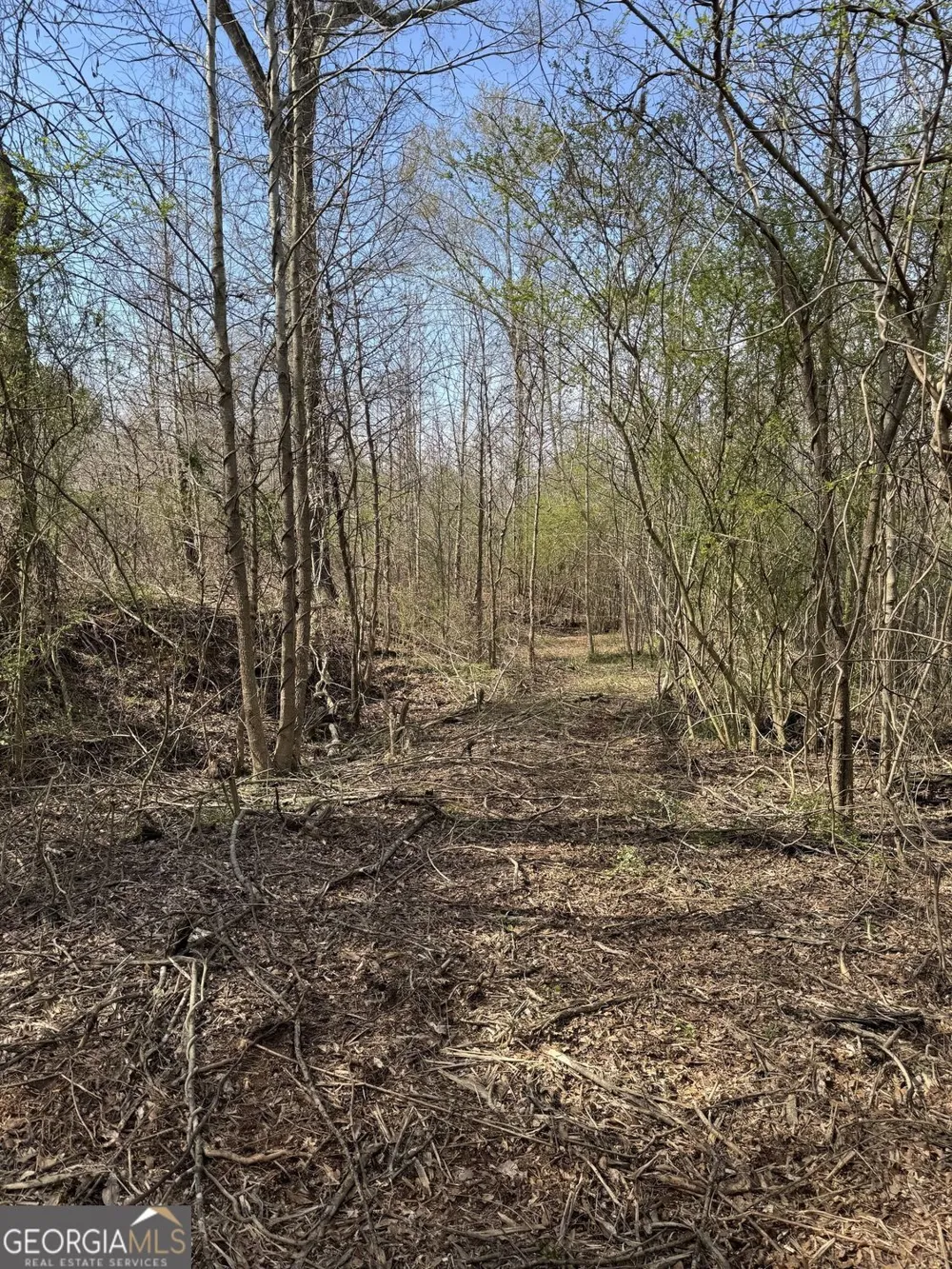 738 Old Mineral Springs RD Elberton, GA 30635