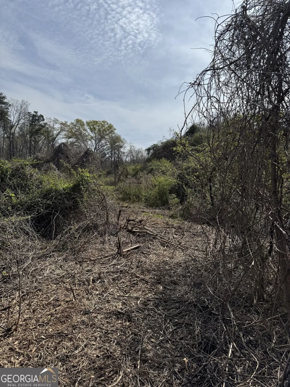 738 Old Mineral Springs RD Elberton, GA 30635