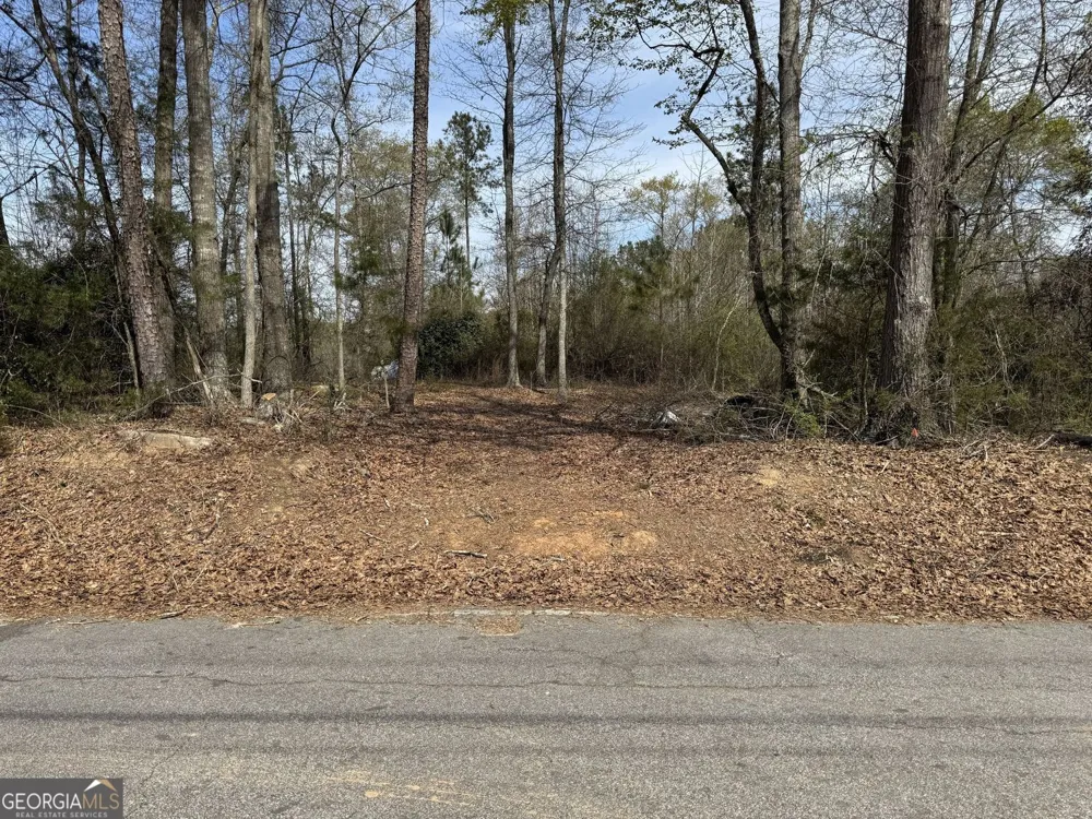 738 Old Mineral Springs RD Elberton, GA 30635
