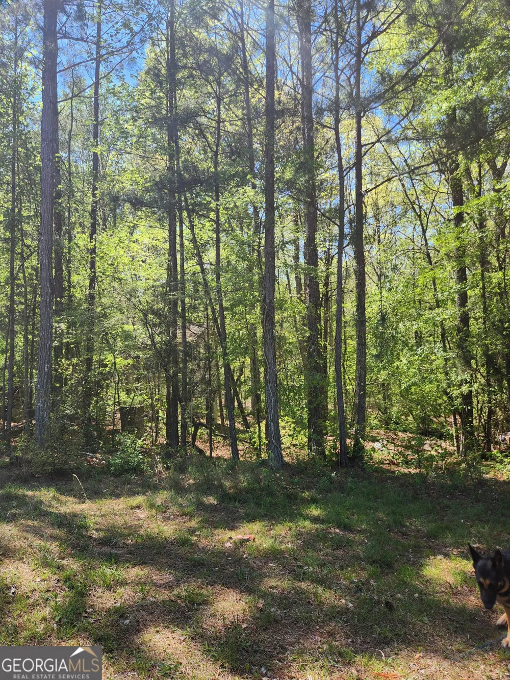 674 Lower River RD Covington, GA 30016