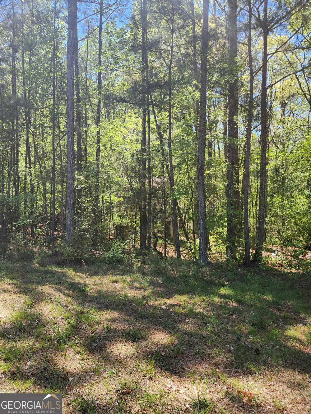674 Lower River RD Covington, GA 30016