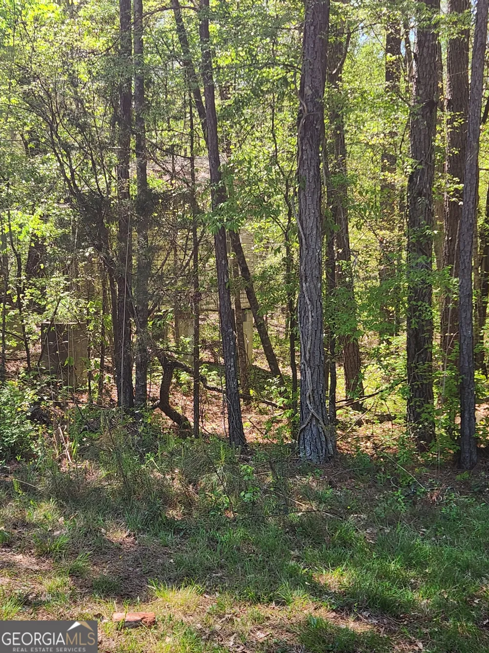 674 Lower River RD Covington, GA 30016