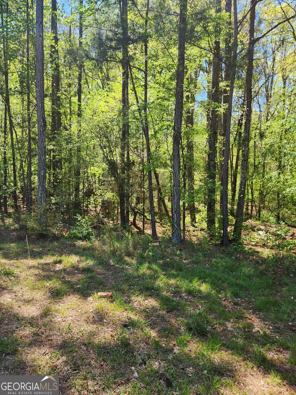 674 Lower River RD Covington, GA 30016