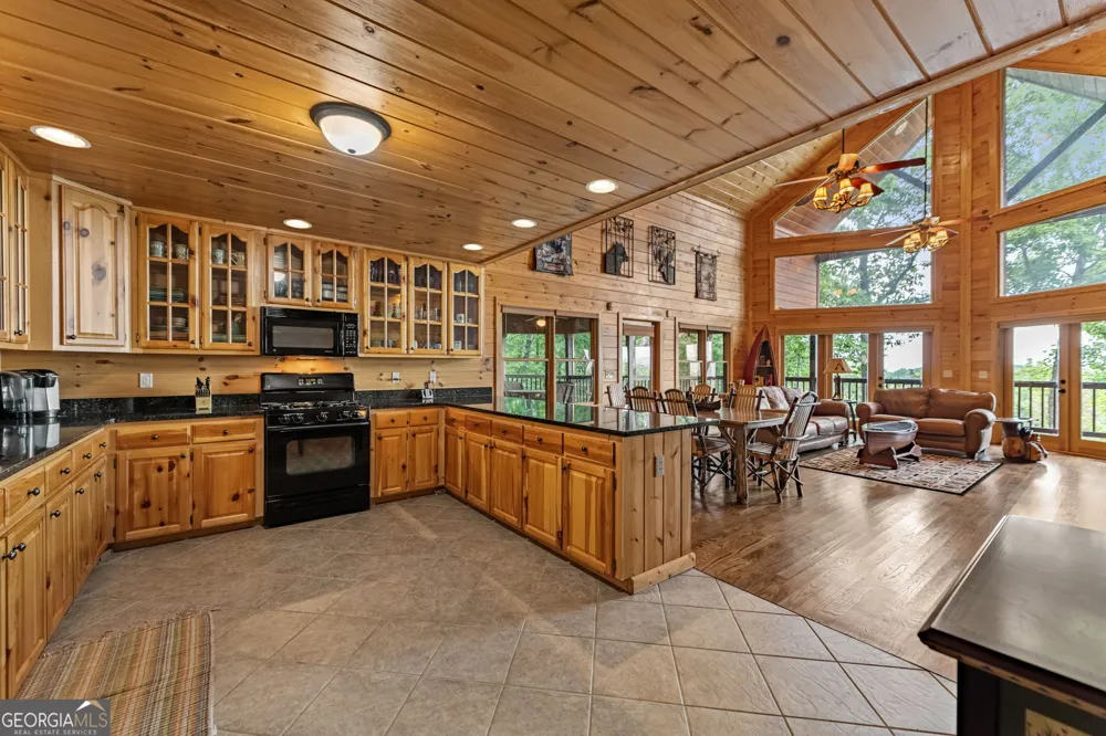 1150 Mountain High DR Mineral Bluff, GA 30559