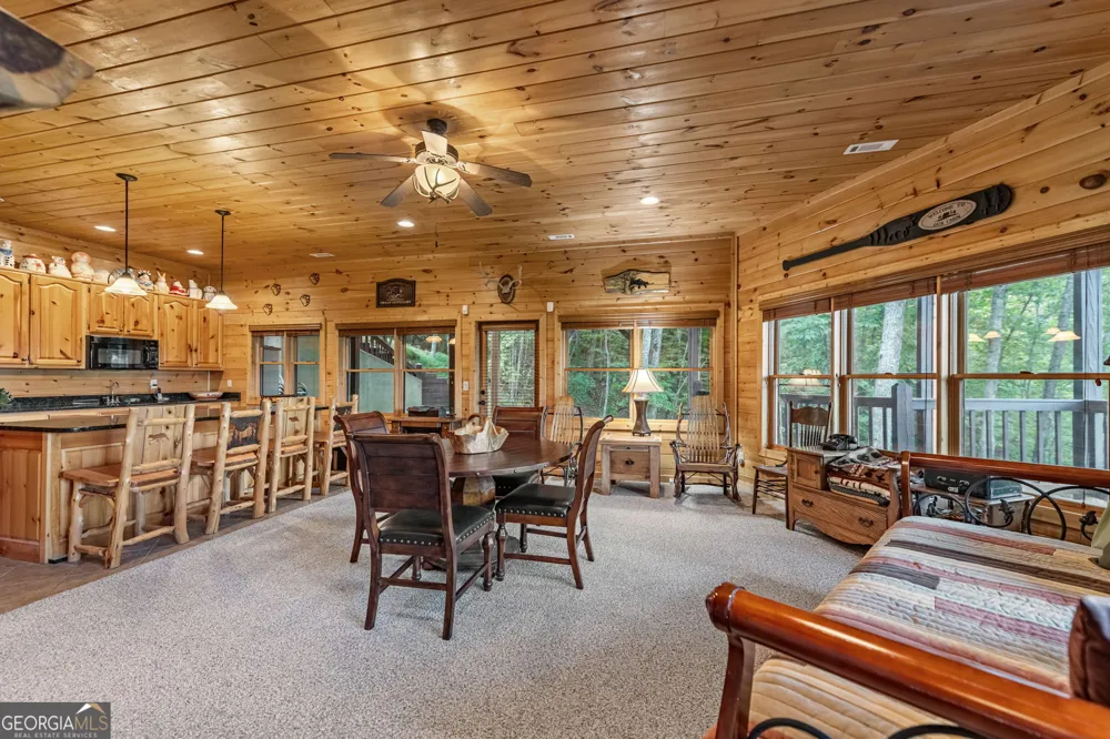 1150 Mountain High DR Mineral Bluff, GA 30559