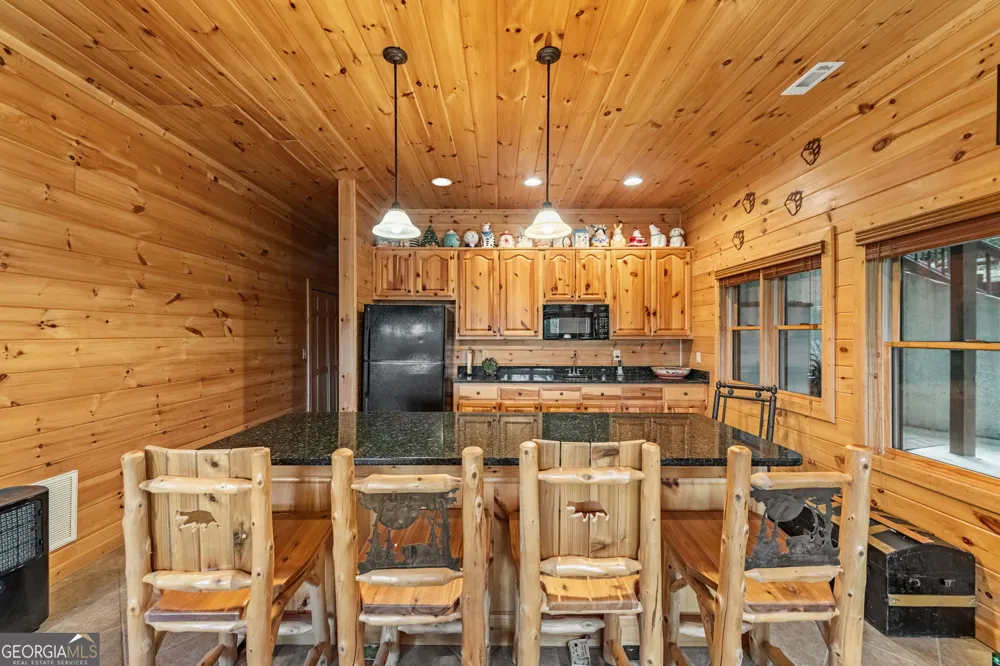 1150 Mountain High DR Mineral Bluff, GA 30559