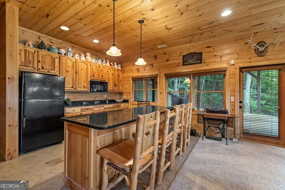 1150 Mountain High DR Mineral Bluff, GA 30559