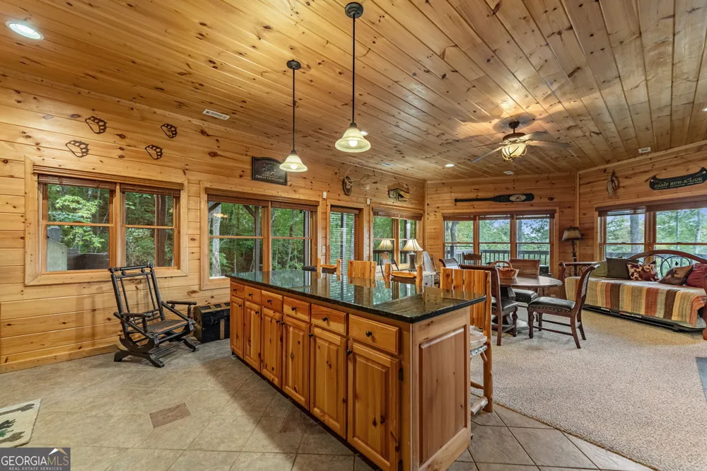 1150 Mountain High DR Mineral Bluff, GA 30559