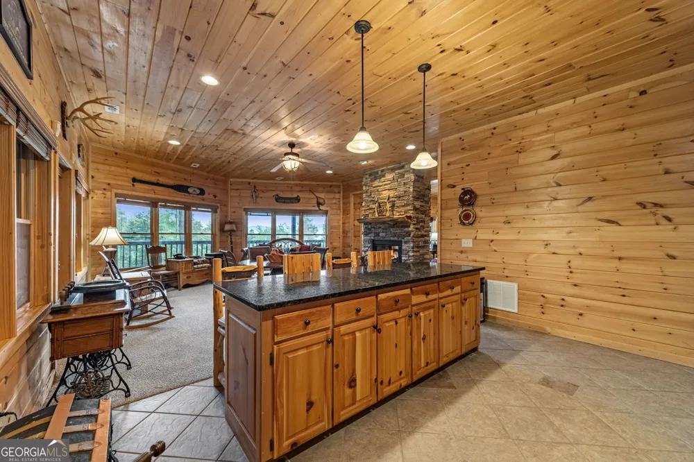 1150 Mountain High DR Mineral Bluff, GA 30559