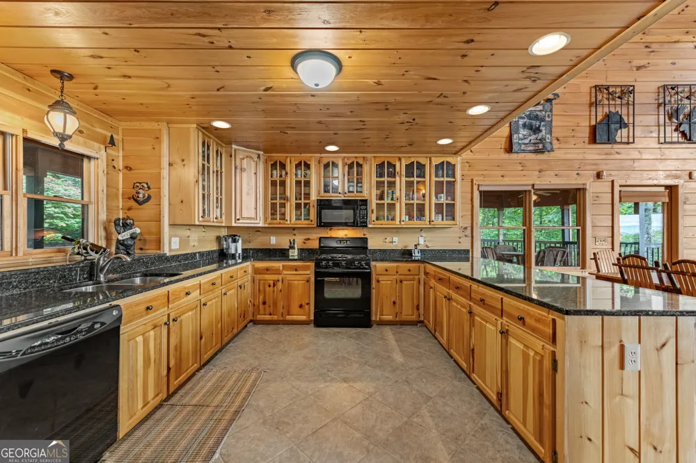 1150 Mountain High DR Mineral Bluff, GA 30559