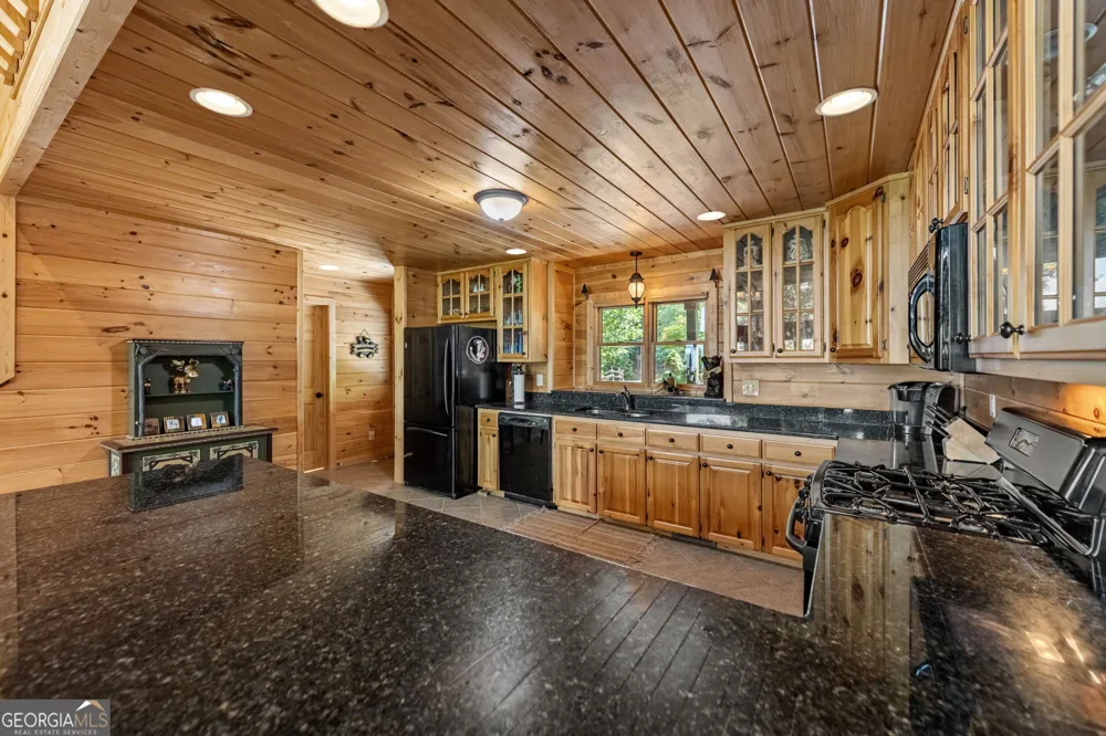1150 Mountain High DR Mineral Bluff, GA 30559
