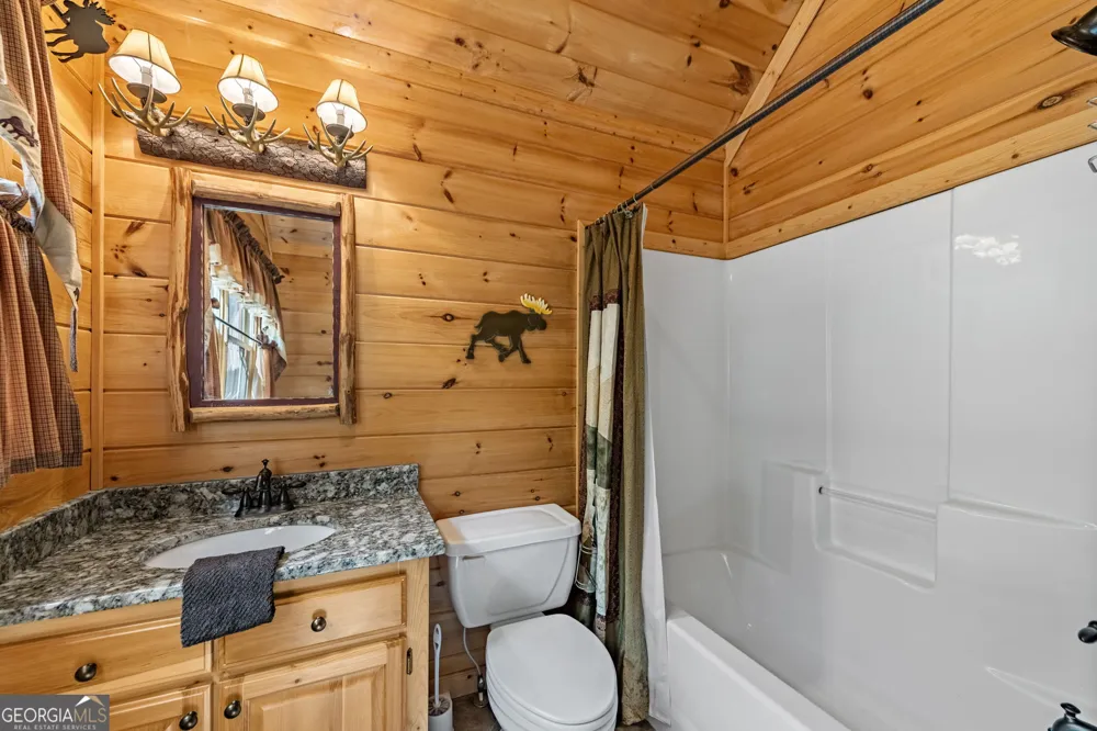 1150 Mountain High DR Mineral Bluff, GA 30559