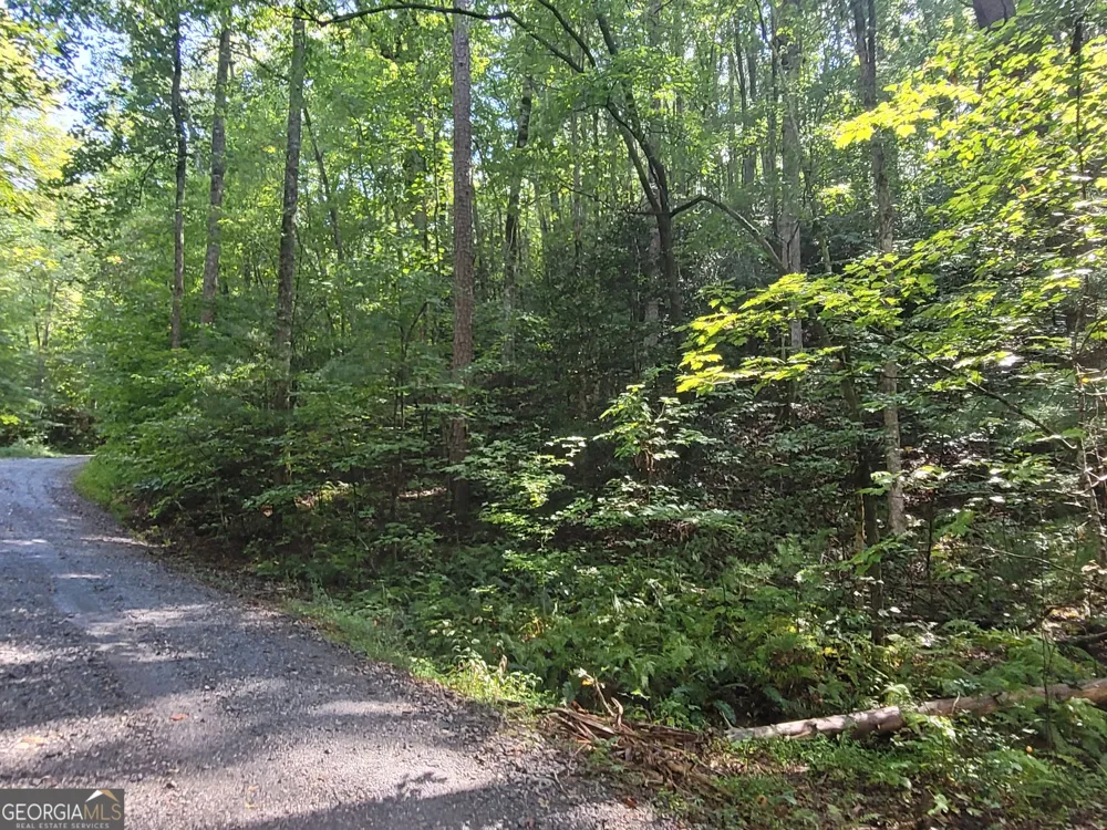 0 Miners Mountain RD Sautee Nacoochee, GA 30571