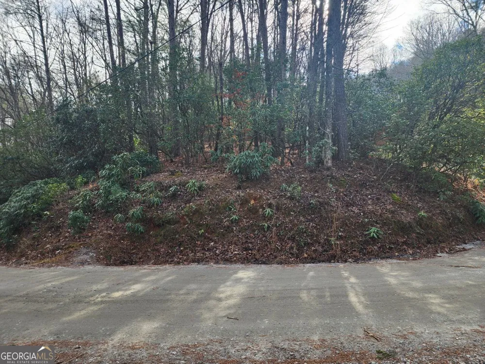 0 Miners Mountain RD Sautee Nacoochee, GA 30571