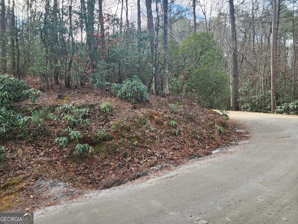 0 Miners Mountain RD Sautee Nacoochee, GA 30571