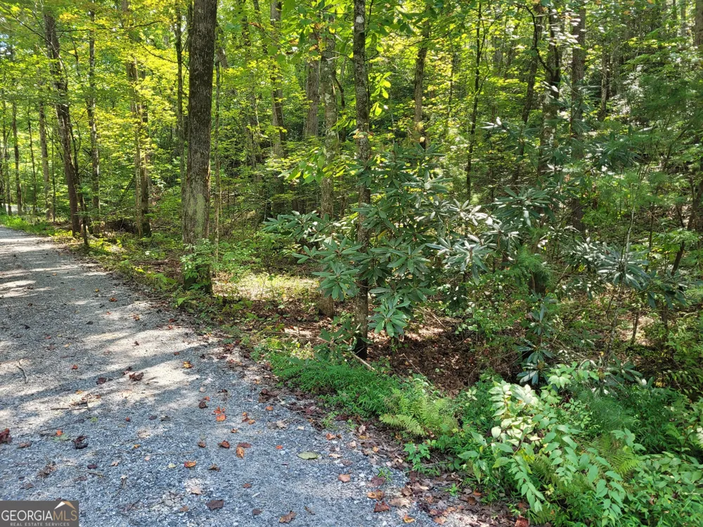 0 Miners Mountain RD Sautee Nacoochee, GA 30571
