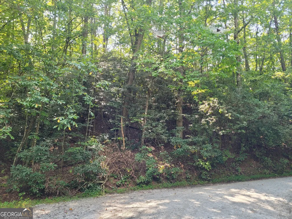 0 Miners Mountain RD Sautee Nacoochee, GA 30571