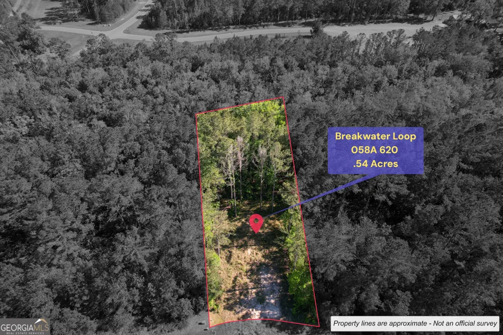 0 Breakwater Loop LOOP Kingsland, GA 31548