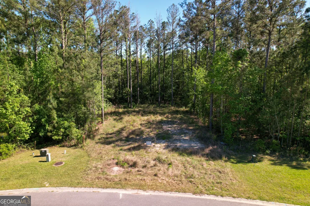 0 Breakwater Loop LOOP Kingsland, GA 31548