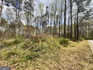 4120 Falcon DR SW Austell, GA 30106