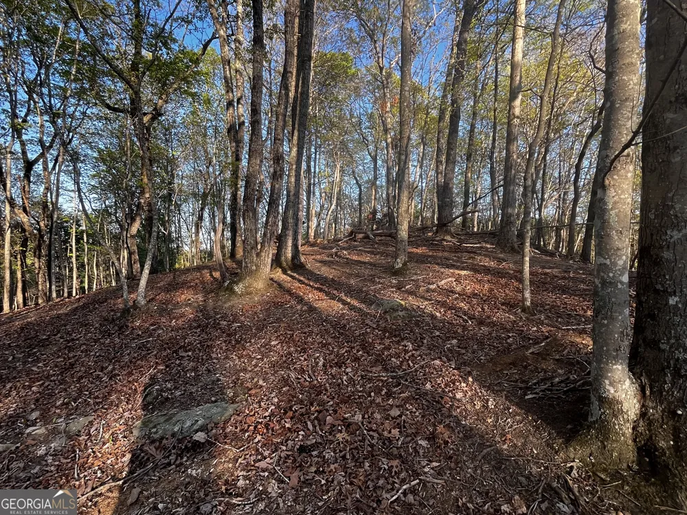 130 Lakeview WALK Baldwin, GA 30511