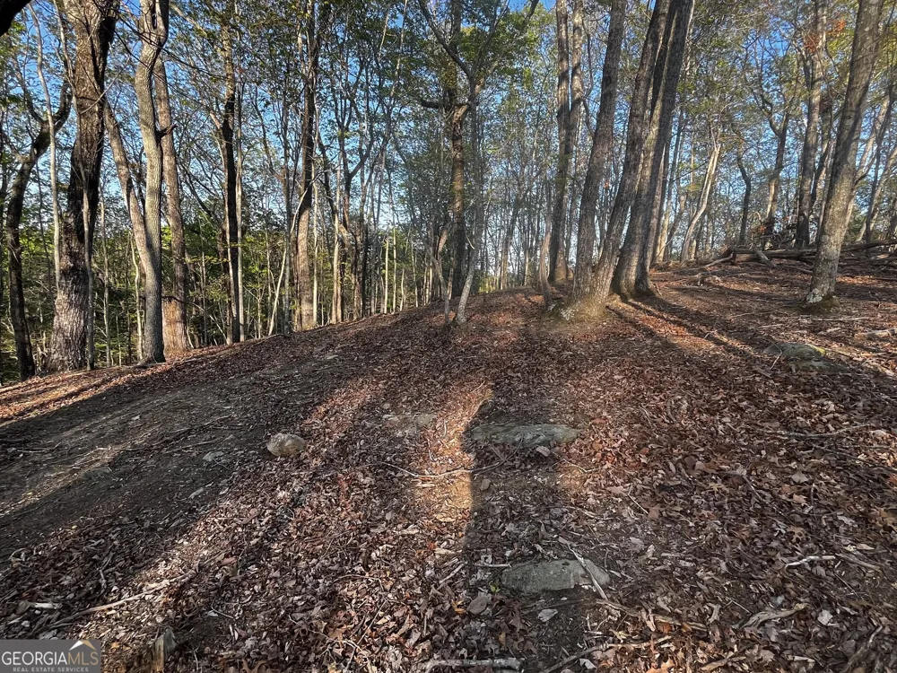 130 Lakeview WALK Baldwin, GA 30511
