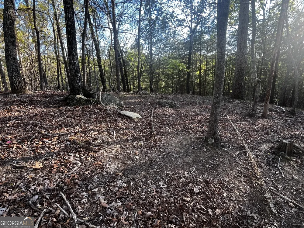 130 Lakeview WALK Baldwin, GA 30511
