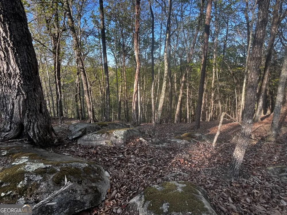140 Lakeview WALK Baldwin, GA 30511