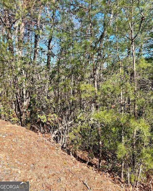 0 Rosen Strasse Helen, GA 30545