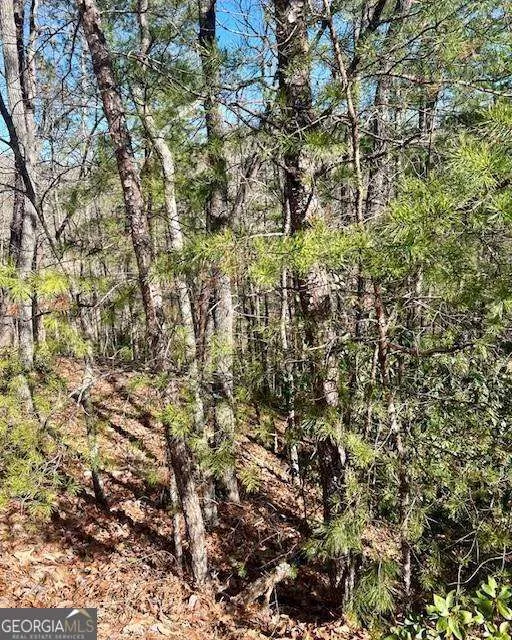 0 Rosen Strasse Helen, GA 30545