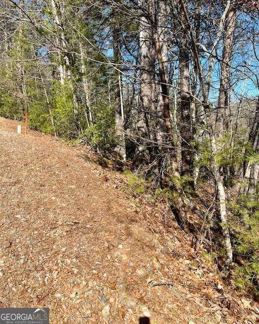 0 Rosen Strasse Helen, GA 30545