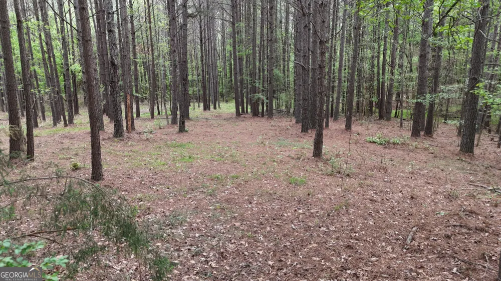 0 Plantation RD Madison, GA 30650
