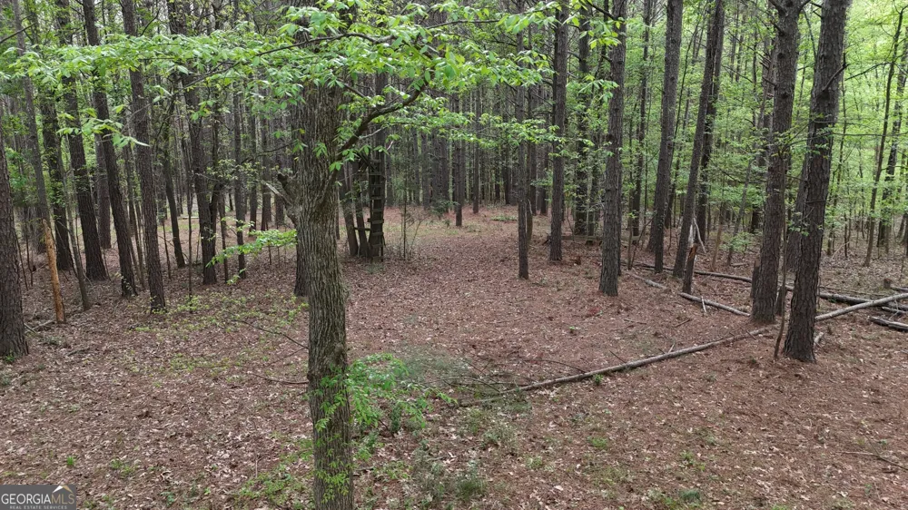 0 Plantation RD Madison, GA 30650